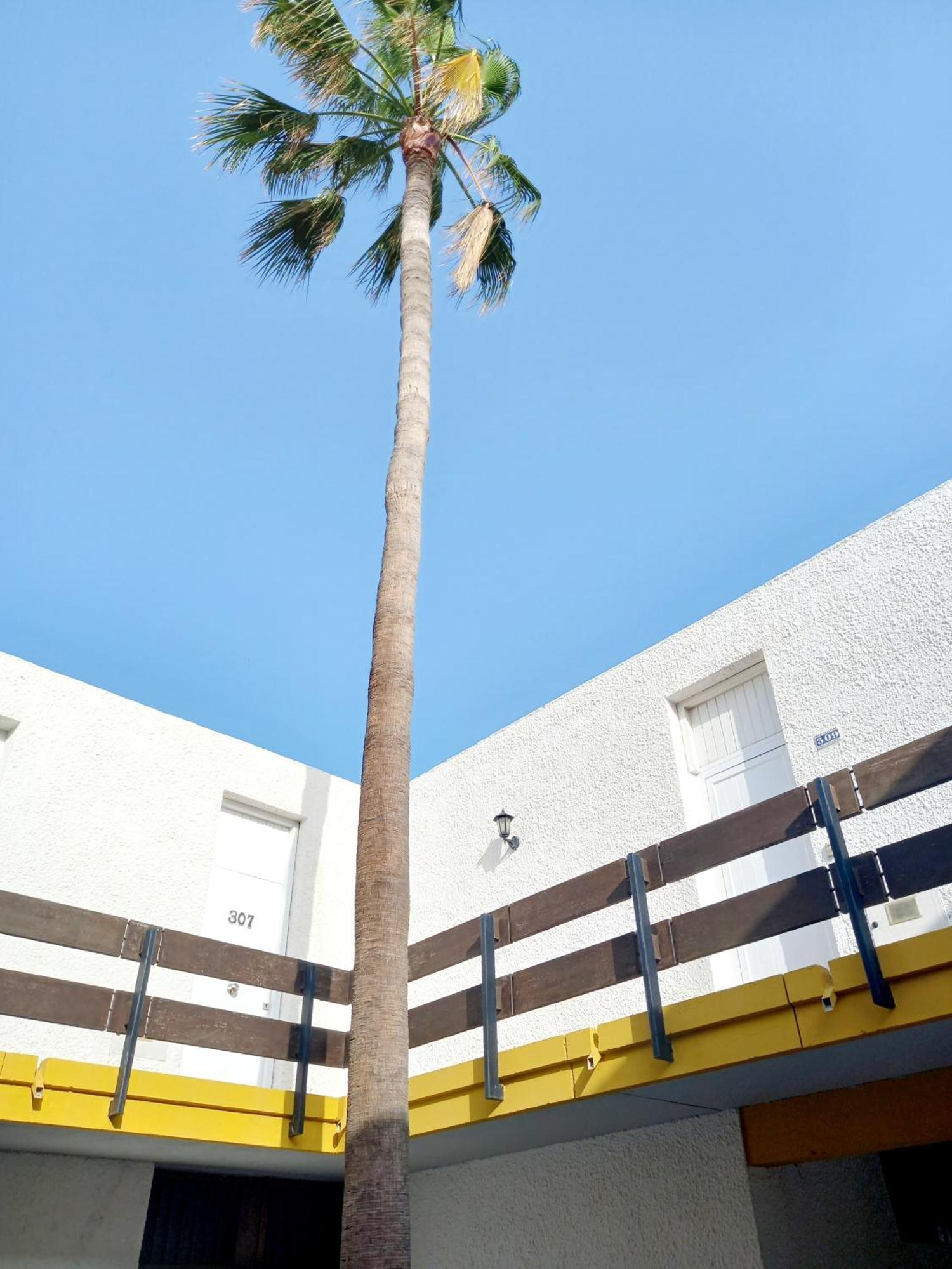 Papagayo Beach Apartments Arona  Exterior foto